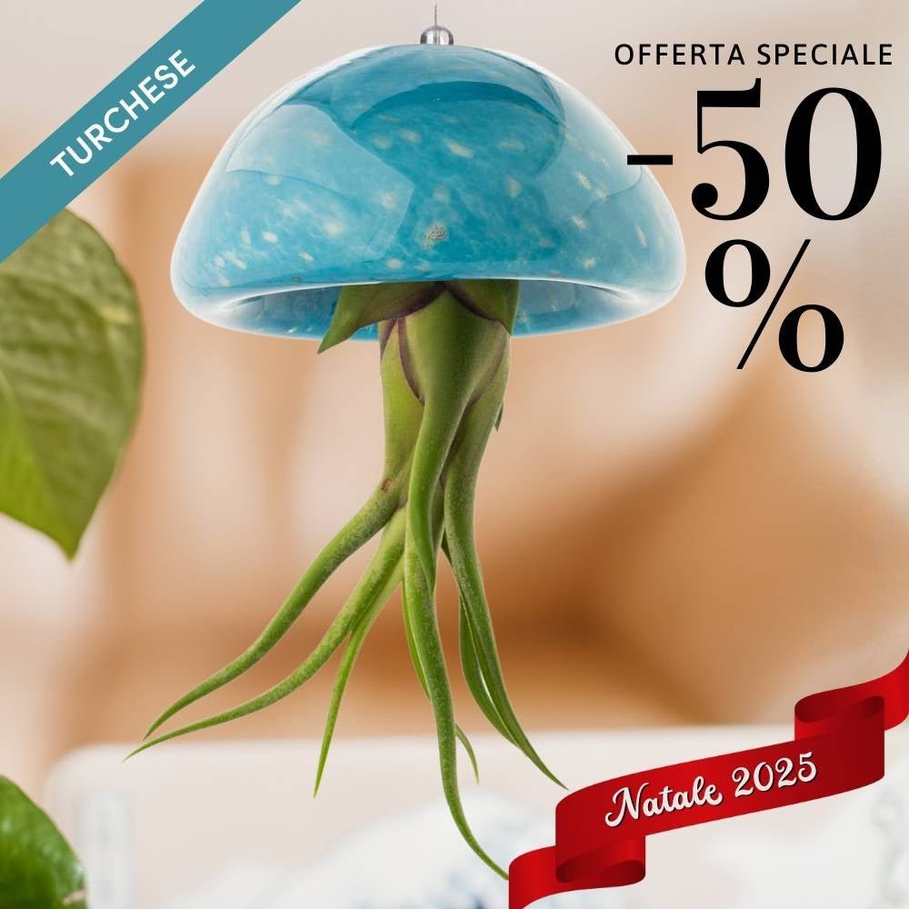 🎄 BIG JELILY - La Grande Medusa Porta Tillandsia - SBAMGLASS - Casa e giardino