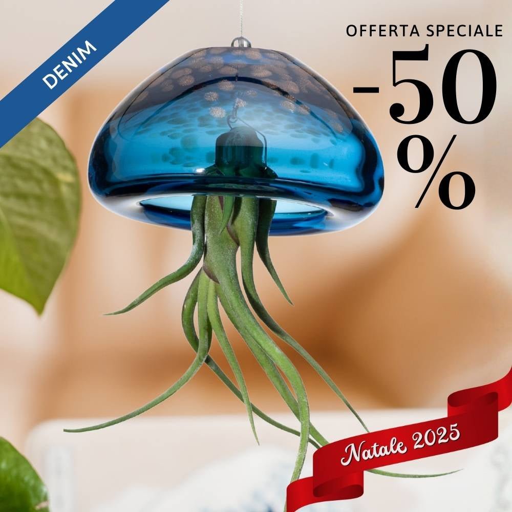 🎄 BIG JELILY - La Grande Medusa Porta Tillandsia - SBAMGLASS - Casa e giardino