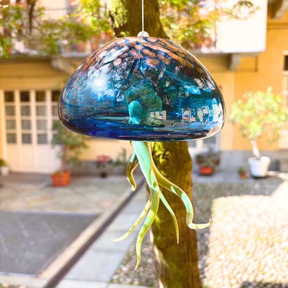 BIG JELILY - Porta Tillandsia Extra Large - SBAMGLASS - Casa e giardino