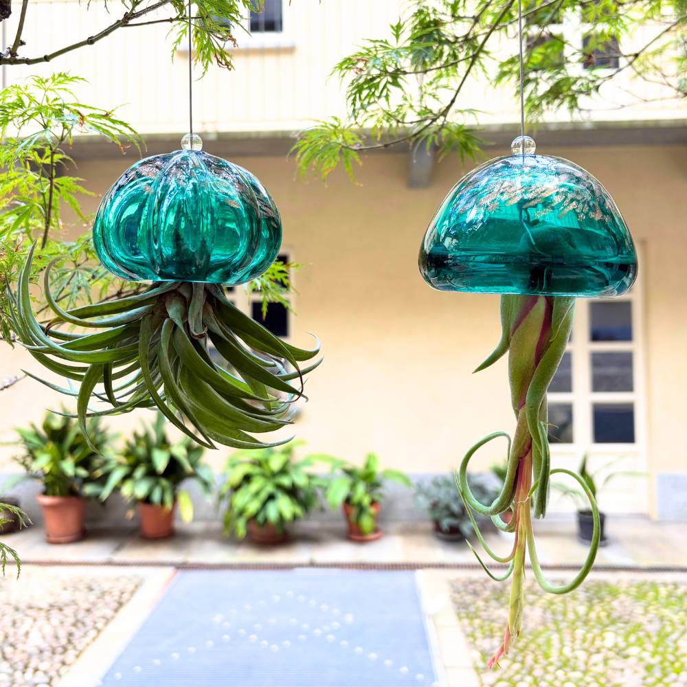 COLLEZIONE ACQUAMARINA - SBAMGLASS - Casa e giardino