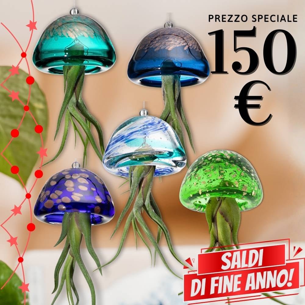 🌟 COLLEZIONE JELILY – Edizione Limitata 5 Colori - SBAMGLASS - Casa e giardino