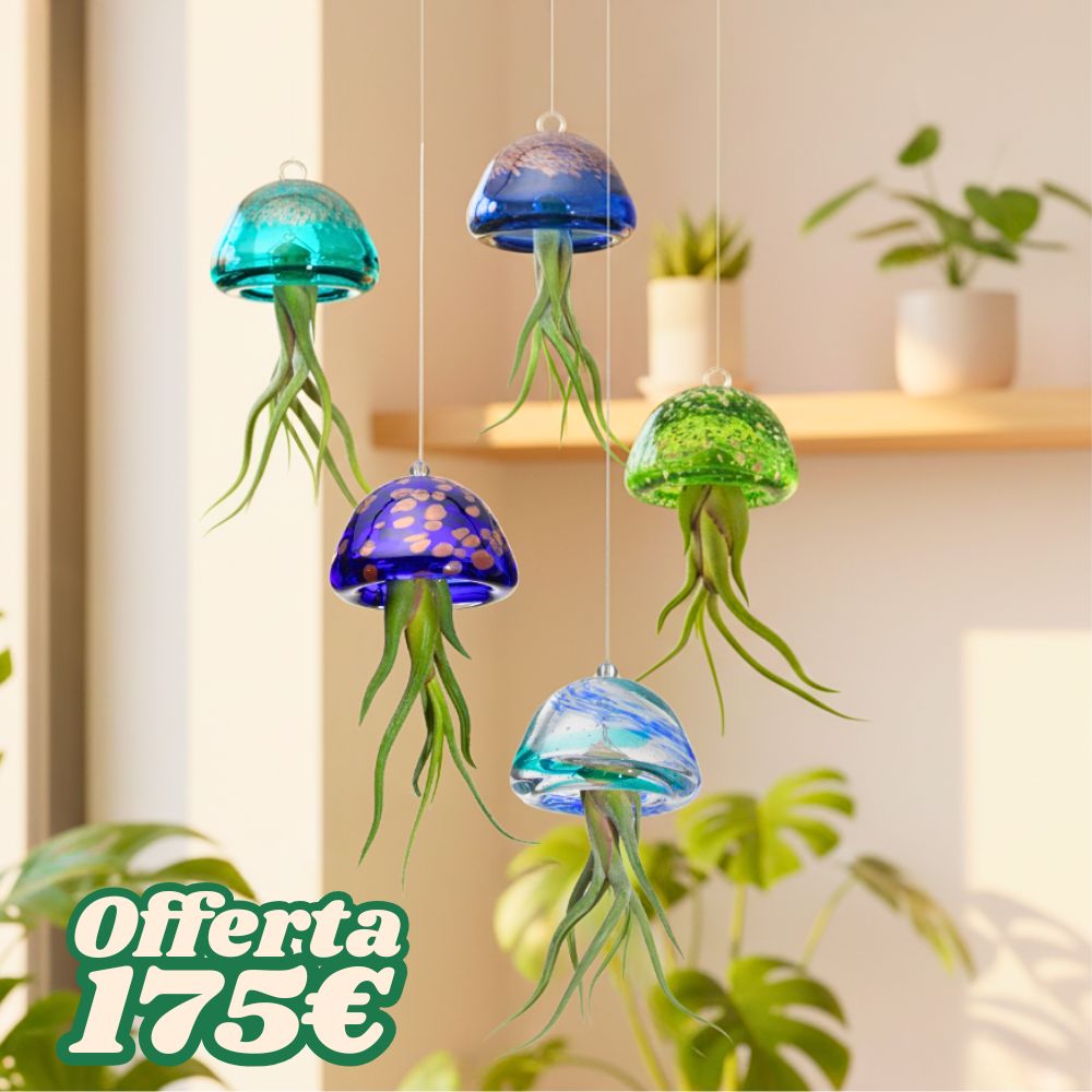 COLLEZIONE JELILY – Edizione Limitata 5 Colori - SBAMGLASS - Casa e giardino