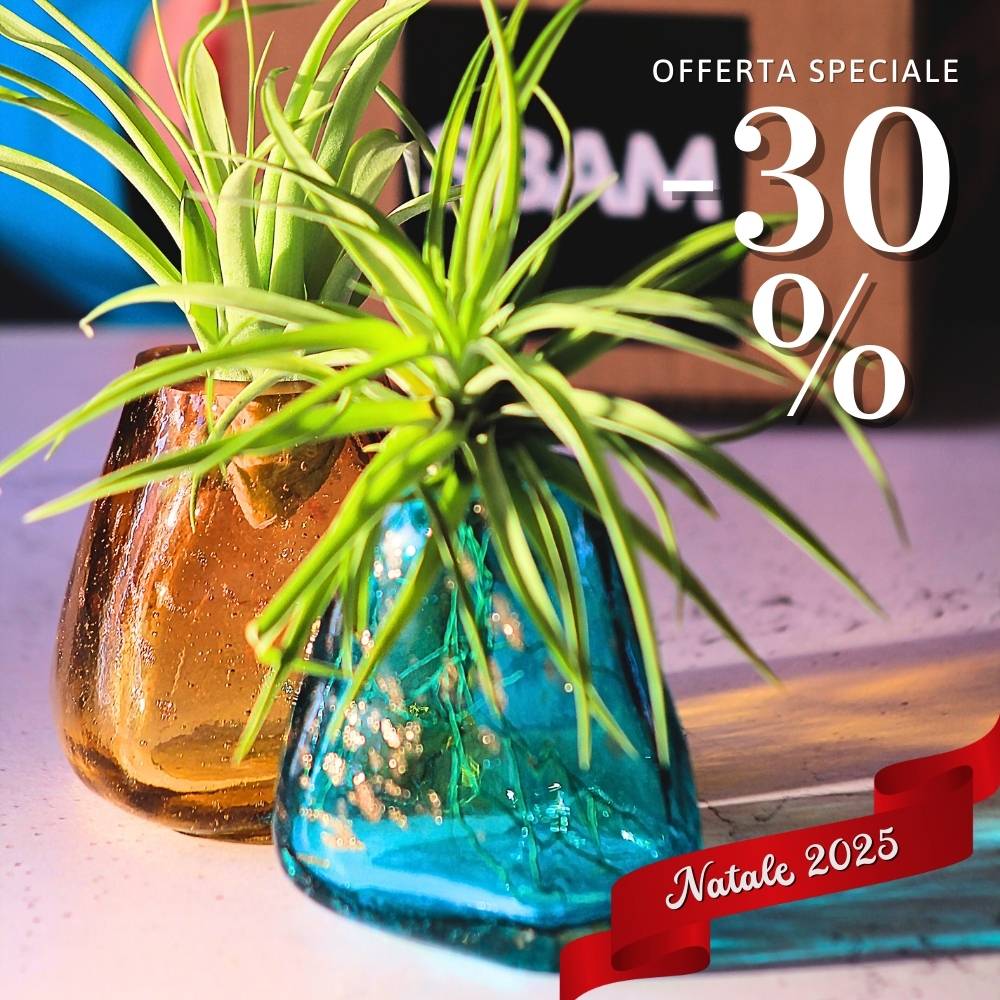 🎄 COPPIA GEMME - Porta Tillandsia - SBAMGLASS - Vasi