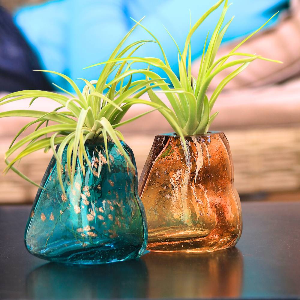 COPPIA GEMME - Porta Tillandsia - SBAMGLASS - Vasi