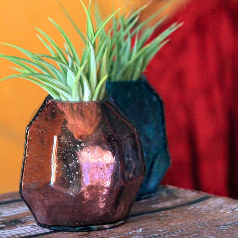 COPPIA GEMME - Porta Tillandsia - SBAMGLASS - Vasi