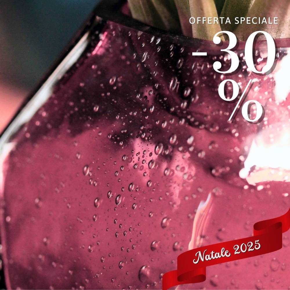 🎄 COPPIA GEMME - Porta Tillandsia - SBAMGLASS - Vasi