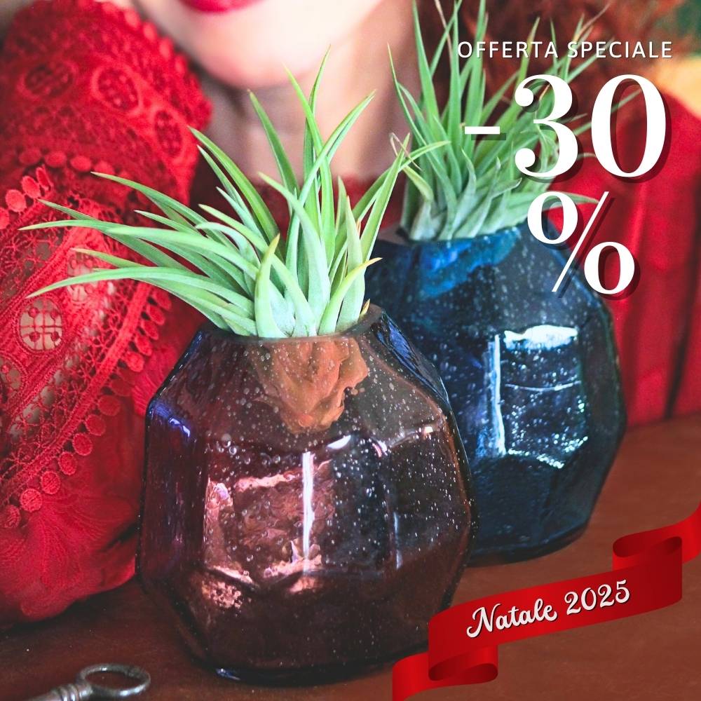 🎄 COPPIA GEMME - Porta Tillandsia - SBAMGLASS - Vasi
