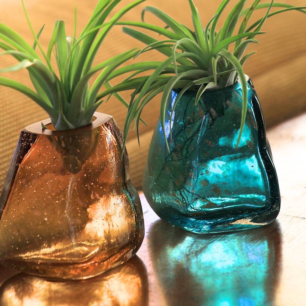 COPPIA GEMME - Porta Tillandsia - SBAMGLASS - Vasi