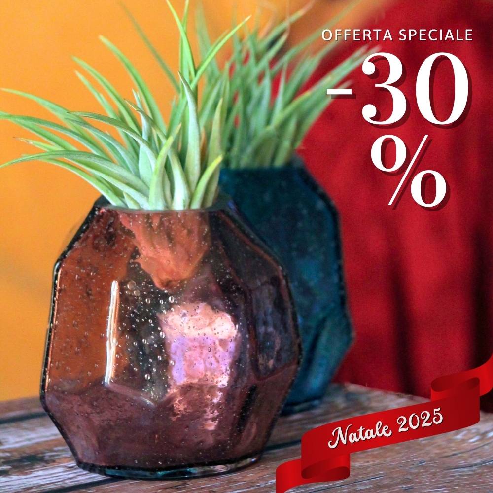 🎄 COPPIA GEMME - Porta Tillandsia - SBAMGLASS - Vasi
