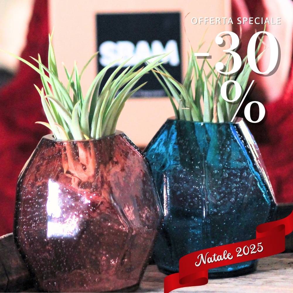 🎄 COPPIA GEMME - Porta Tillandsia - SBAMGLASS - Vasi