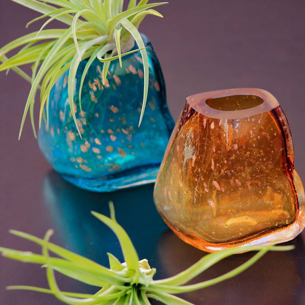 COPPIA GEMME - Porta Tillandsia - SBAMGLASS - Vasi