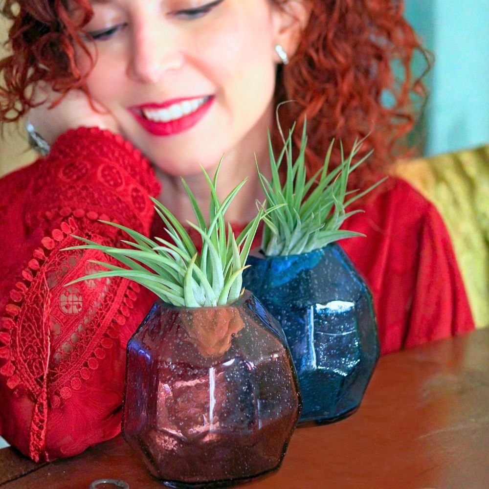 COPPIA GEMME - Vasi per piante aeree - SBAMGLASS - Vasi