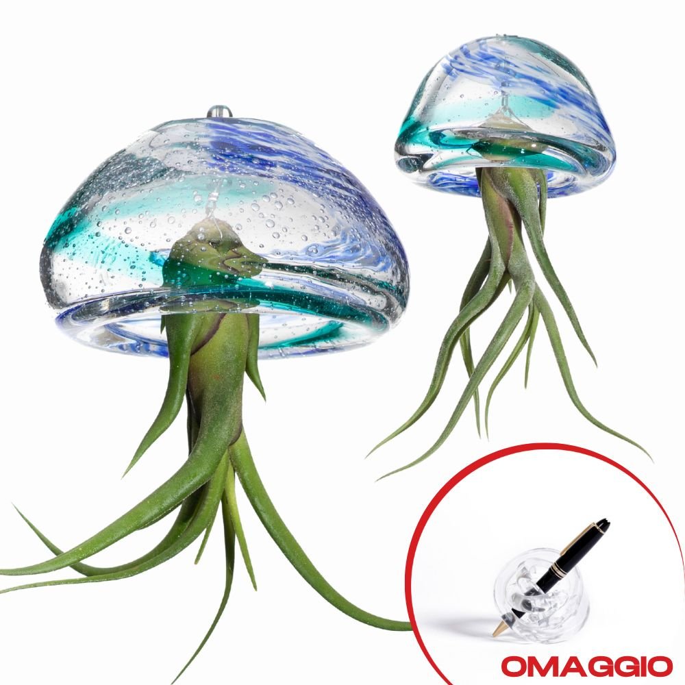 FAMIGLIA OCEANO | Big Jelily + Jelily - RISPARMI 35 € 🔥 - SBAMGLASS - Casa e giardino