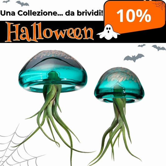 FAMIGLIE ACQUAMARINA - 10% di sconto 🔥 - SBAMGLASS - Casa e giardino