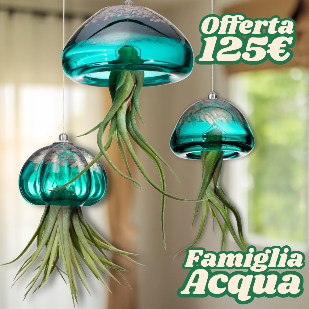 FAMIGLIE JELILY – 3 Porta Tillandsia - SBAMGLASS - Kit in Offerta
