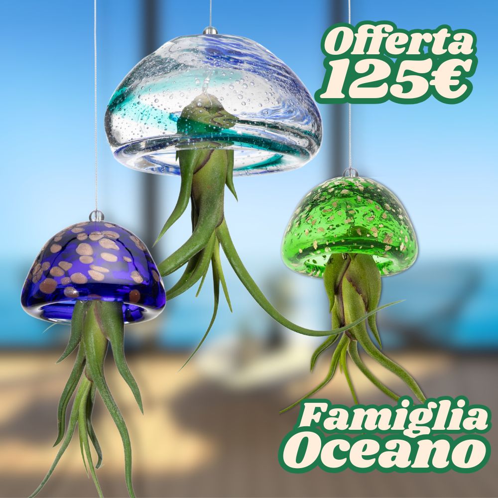 FAMIGLIE JELILY – 3 Porta Tillandsia - SBAMGLASS - Kit in Offerta