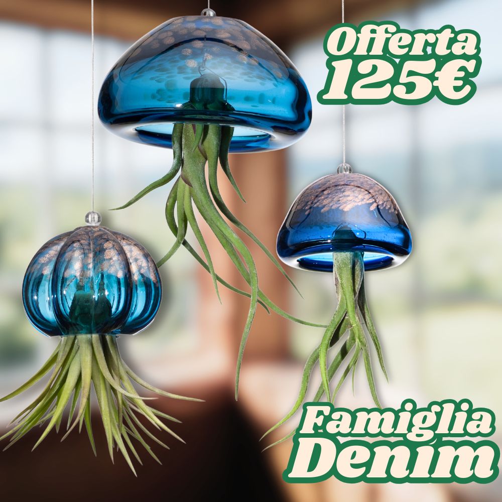 FAMIGLIE JELILY – 3 Porta Tillandsia - SBAMGLASS - Kit in Offerta