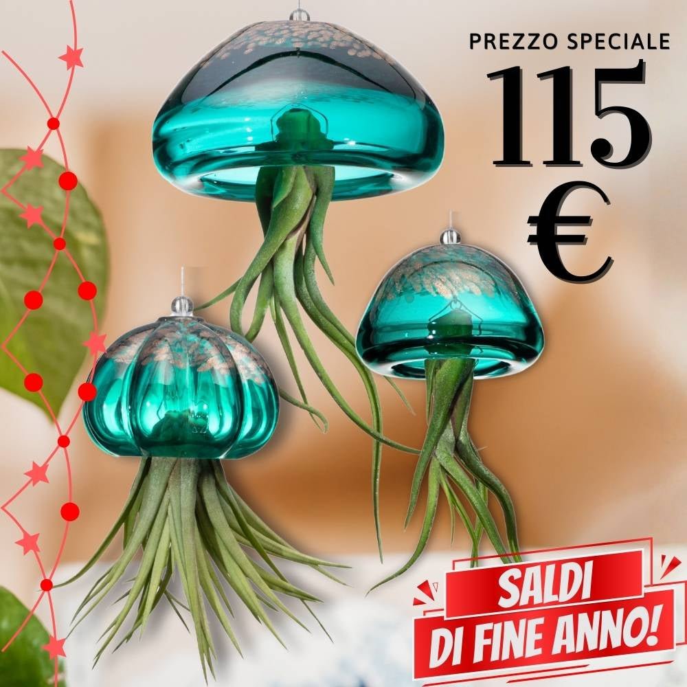 🌟 FAMIGLIE JELILY – 3 Porta Tillandsia in un unico Regalo - SBAMGLASS - 