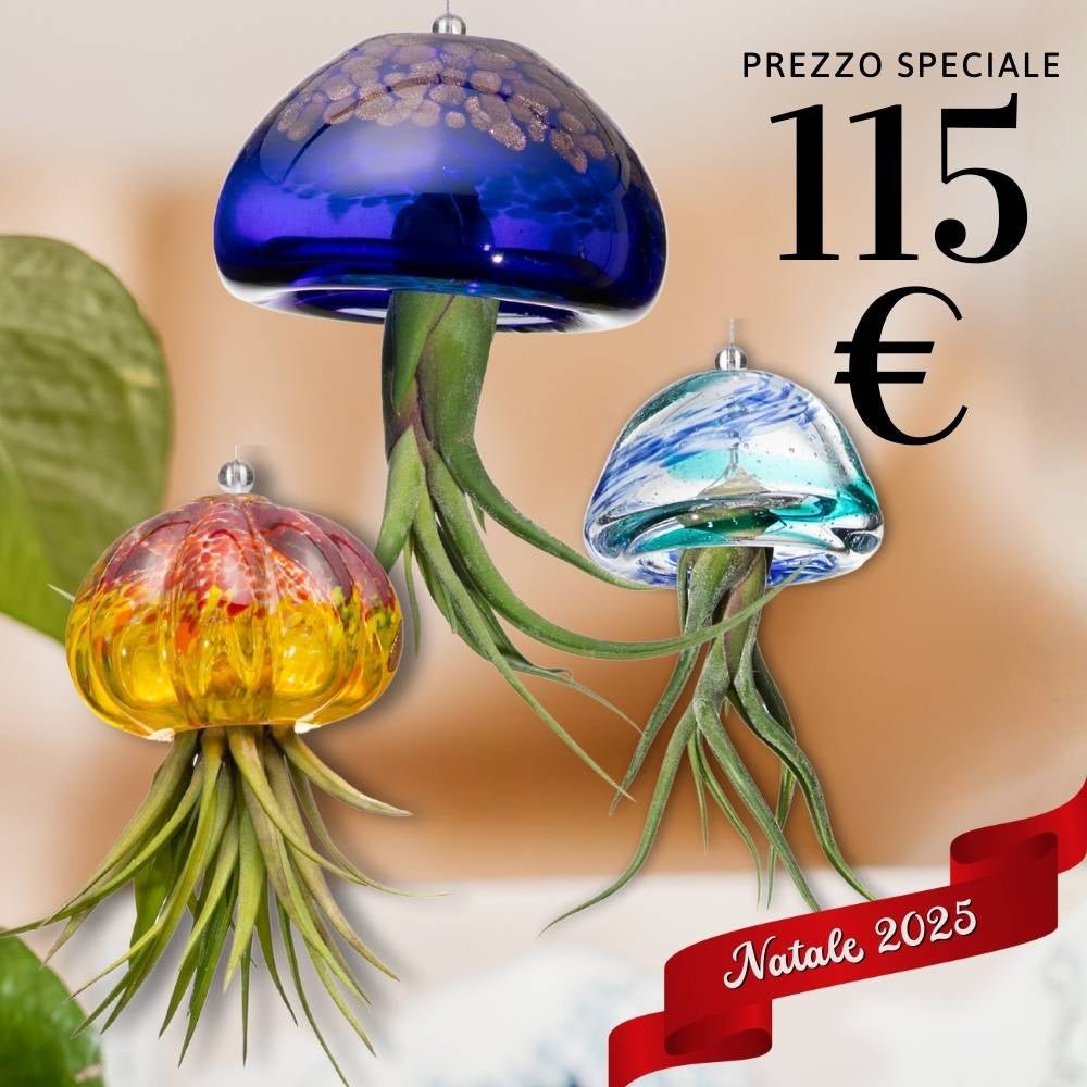 🎄 FAMIGLIE JELILY – 3 Porta Tillandsia in un unico Regalo - SBAMGLASS - 