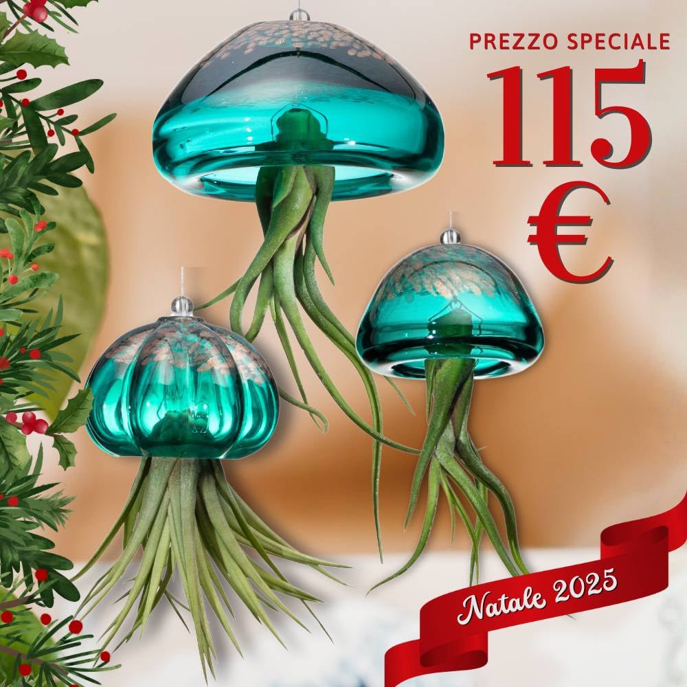 🎄 FAMIGLIE JELILY – 3 Porta Tillandsia in un unico Regalo - SBAMGLASS - 