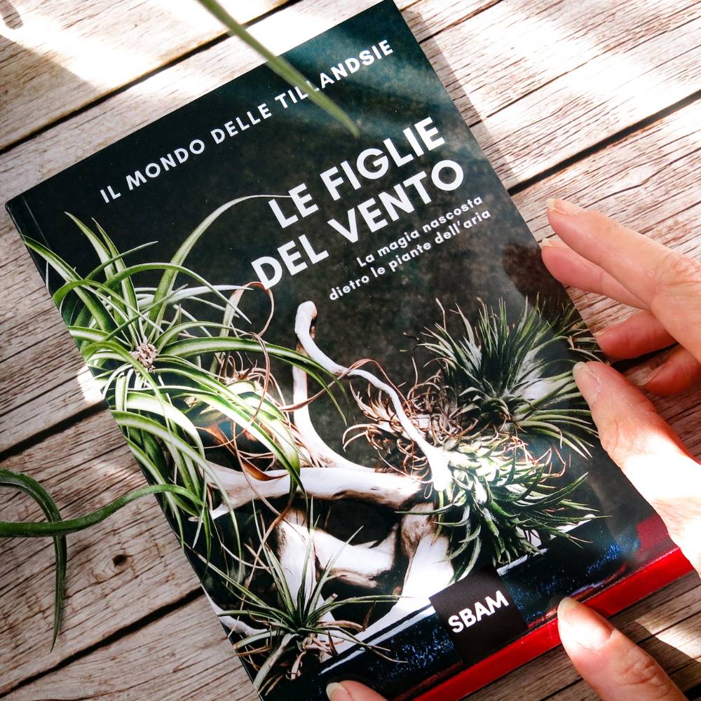 IL MONDO DELLE TILLANDSIE - Il Libro sulle Figlie del Vento - SBAMGLASS - Vasi