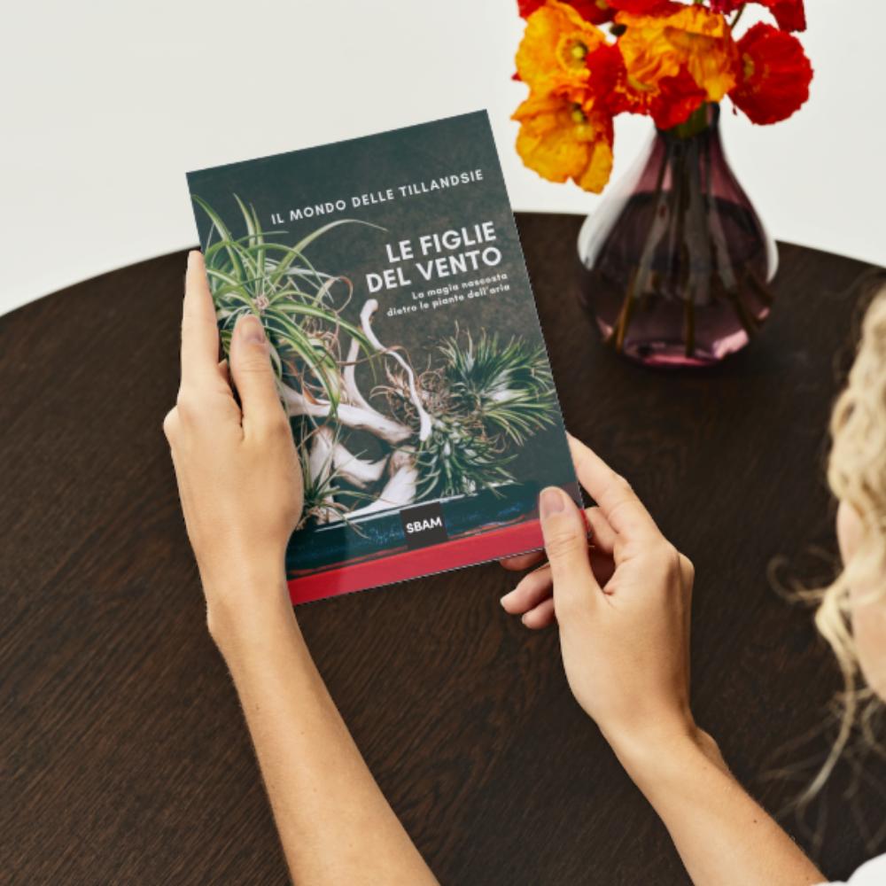 IL MONDO DELLE TILLANDSIE - Il Libro sulle Figlie del Vento - SBAMGLASS - Vasi