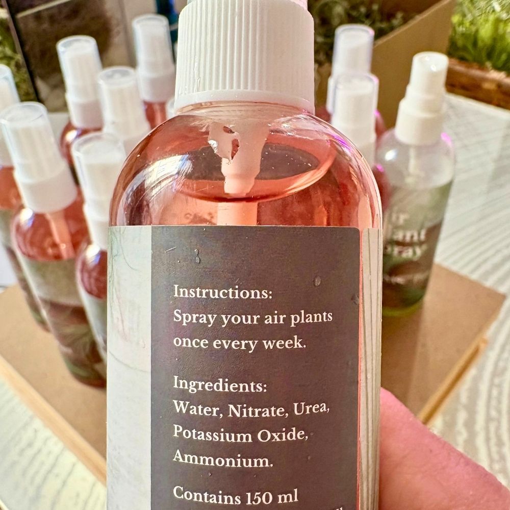 INTEGRATORE NUTRIENTE PER TILLANDSIA - SBAMGLASS - Accessori