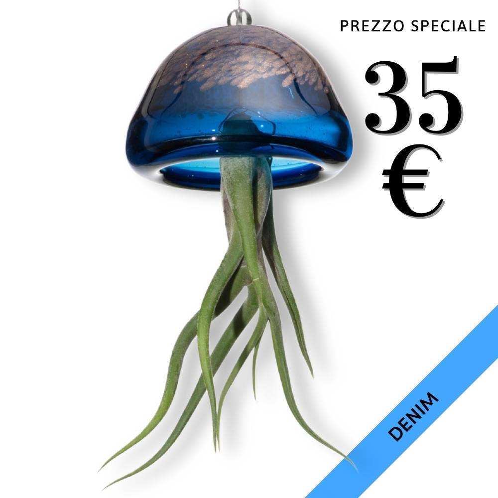 JELILY - La Medusa Porta Tillandsia - SBAMGLASS - Casa e giardino