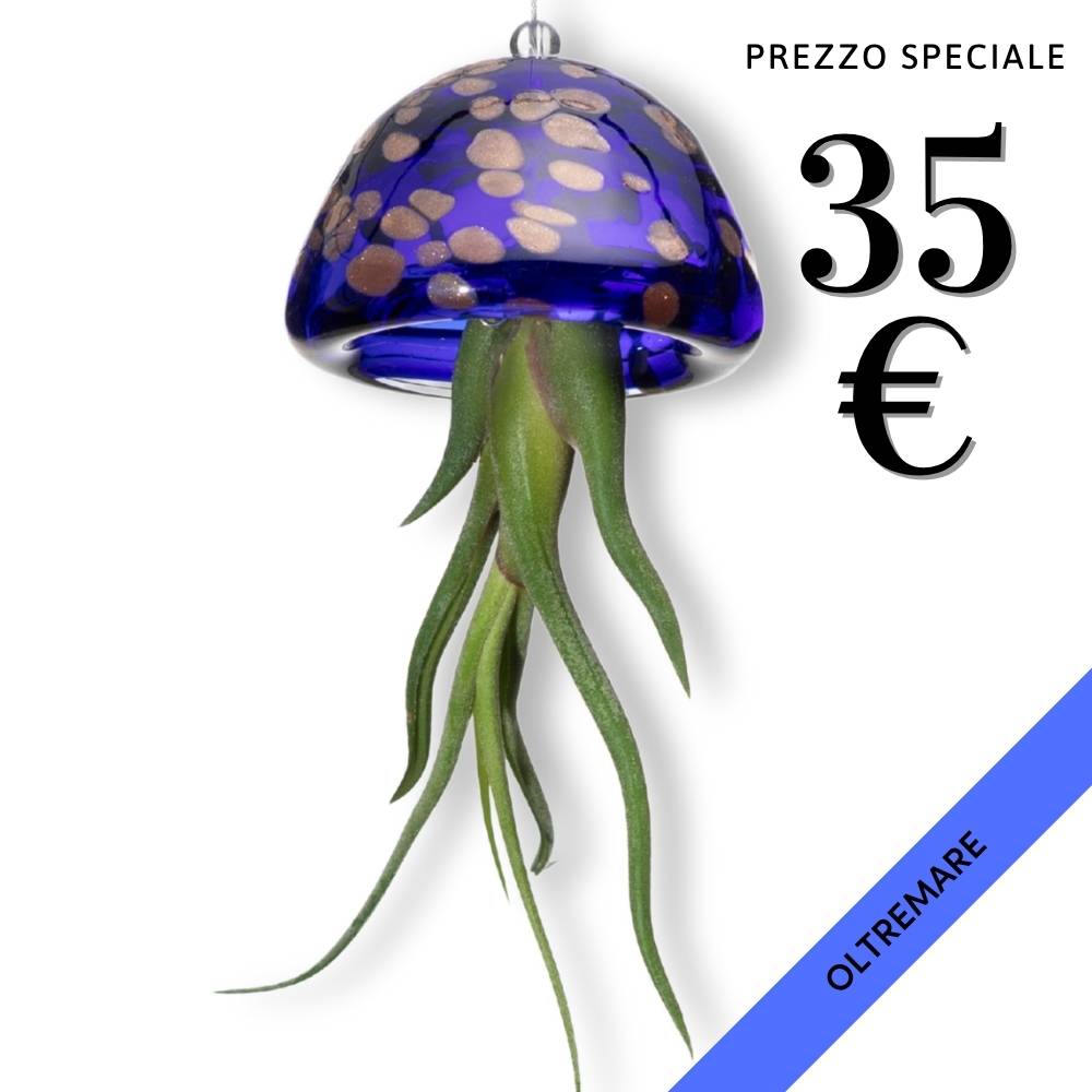 JELILY - La Medusa Porta Tillandsia - SBAMGLASS - Casa e giardino