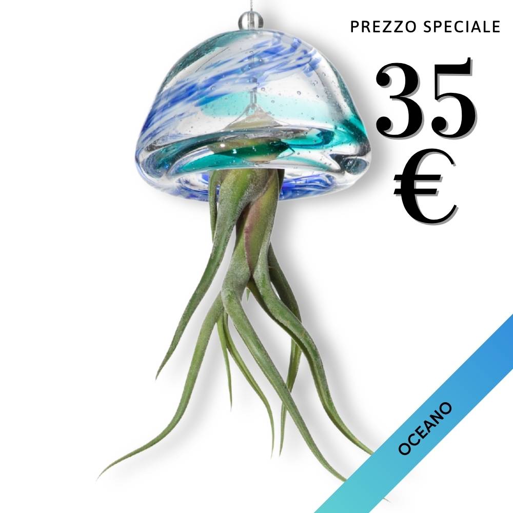 JELILY - La Medusa Porta Tillandsia - SBAMGLASS - Casa e giardino