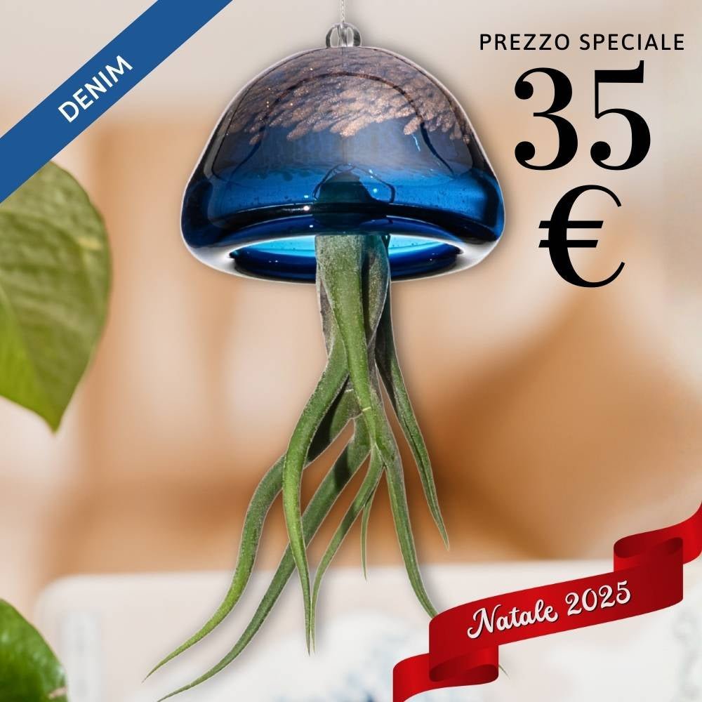 🎄 JELILY - La Medusa Porta Tillandsia - SBAMGLASS - Casa e giardino