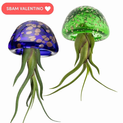 JELILY OLTREMARE e ALGA + OMAGGIO Porta Tillandsia a forma di Cuore - SBAMGLASS - Casa e giardino