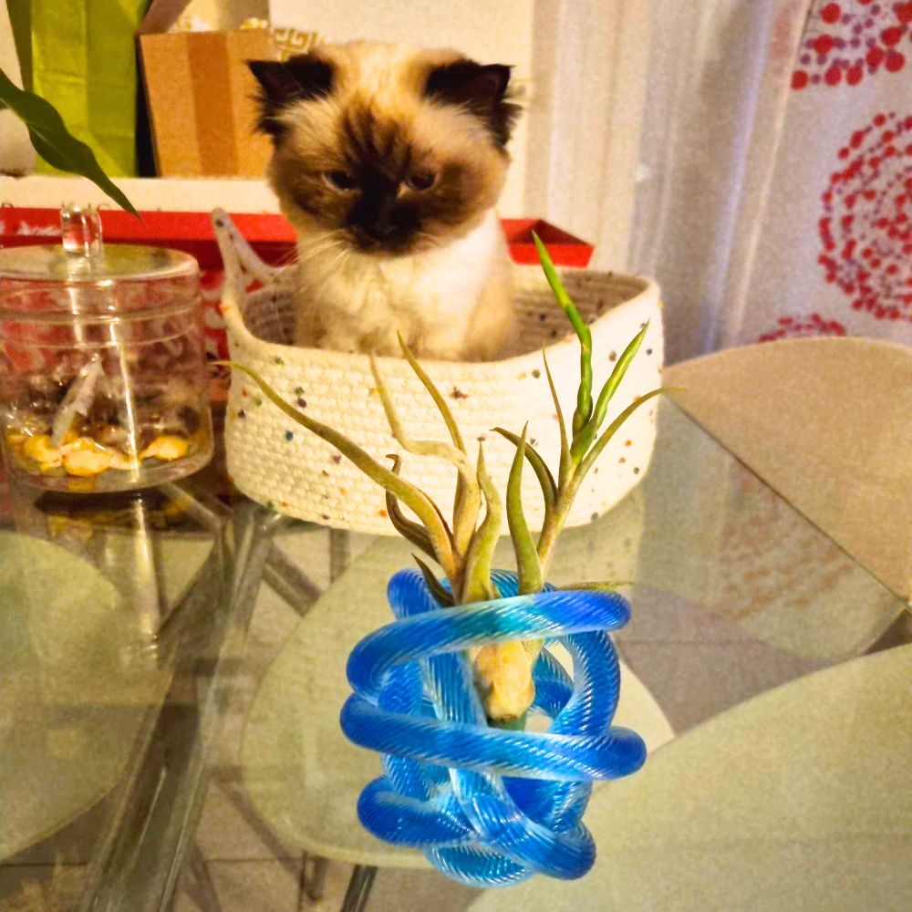 NODO DI VETRO - SBAMGLASS - Vetro