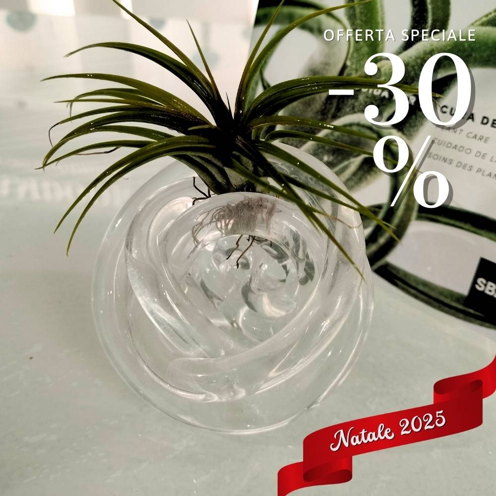 🎄 NODO DI VETRO - Regalalo a chi vuoi bene - SBAMGLASS - Casa e giardino