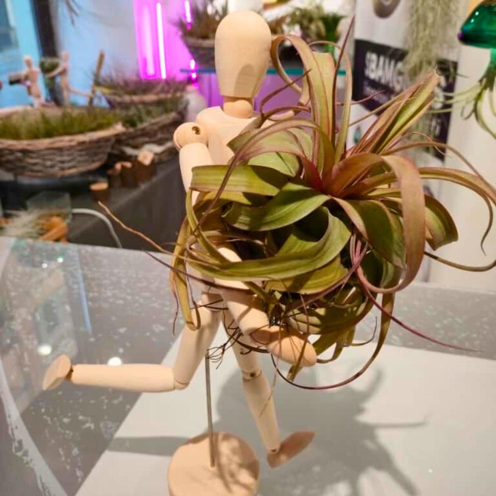 OMINO DI LEGNO ABBRACCIA PIANTE - SBAMGLASS - 