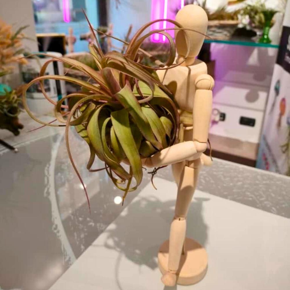 OMINO DI LEGNO ABBRACCIA PIANTE - SBAMGLASS - 