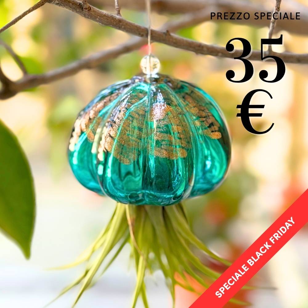 RICCIO - Porta Tillandsia - SBAMGLASS - Casa e giardino