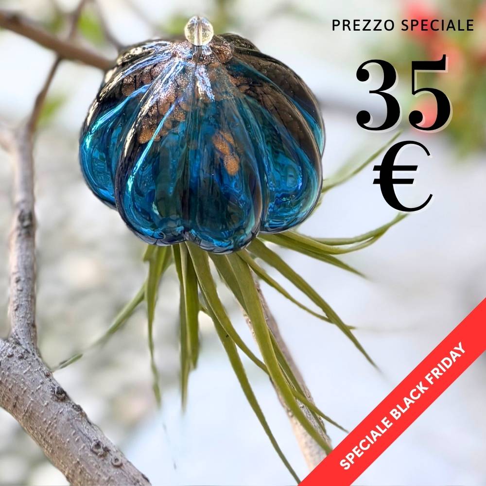 RICCIO - Porta Tillandsia - SBAMGLASS - Casa e giardino