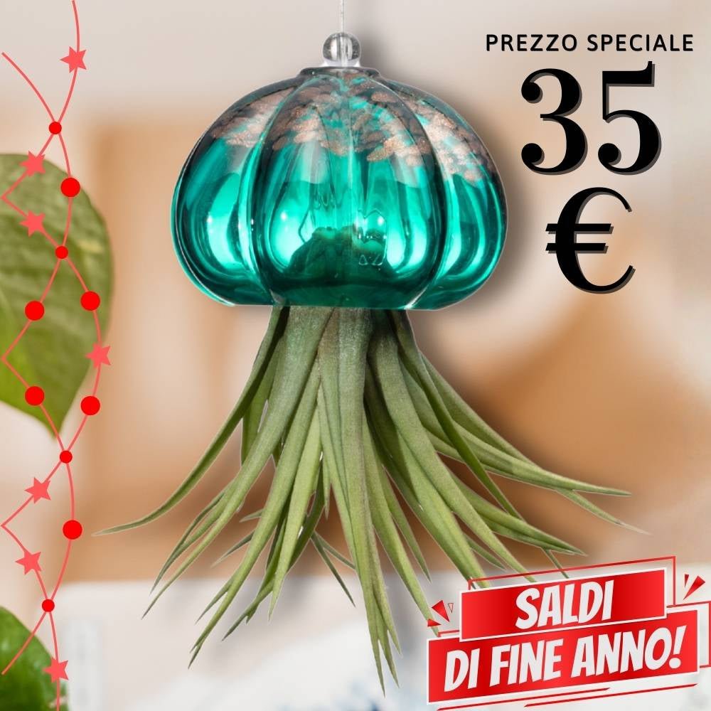 🌟 RICCIO - Porta Tillandsia - SBAMGLASS - Casa e giardino