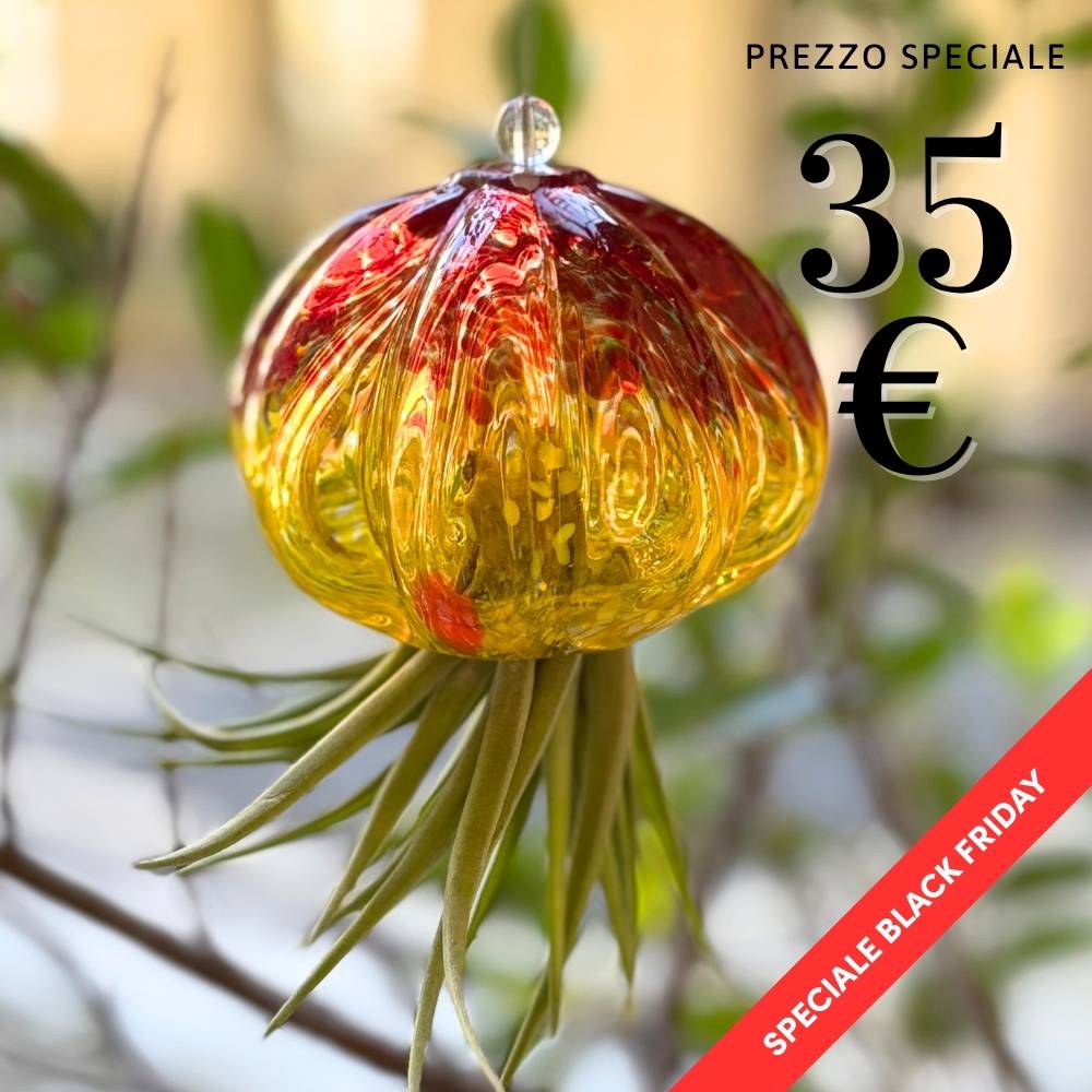 RICCIO - Porta Tillandsia - SBAMGLASS - Casa e giardino