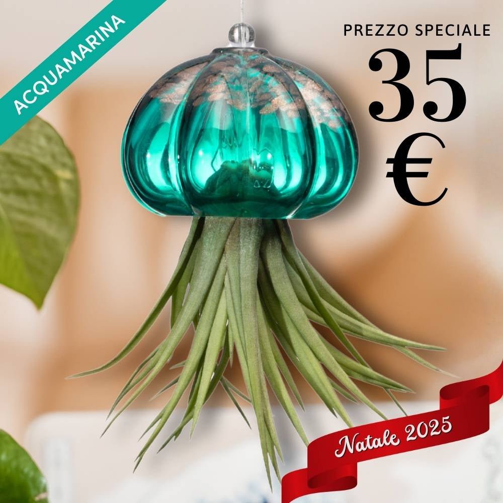🎄 RICCIO - Porta Tillandsia - SBAMGLASS - Casa e giardino