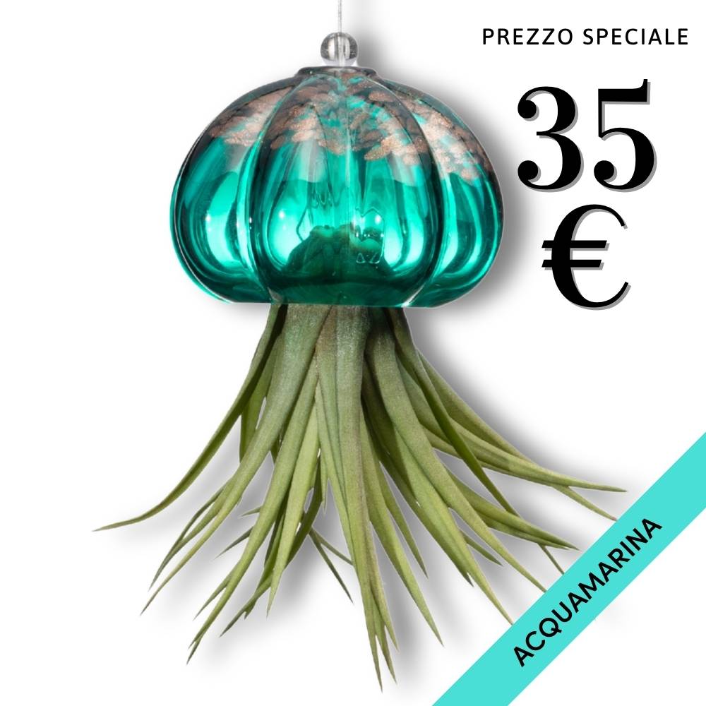 RICCIO - Porta Tillandsia - SBAMGLASS - Casa e giardino