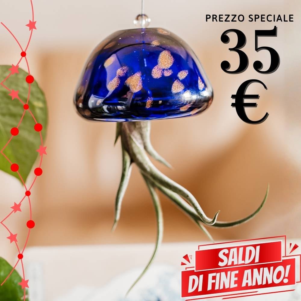 🌟 sJELILY - La Medusa Porta Tillandsia - SBAMGLASS - Casa e giardino