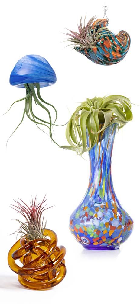 🔥 Collezione CONOSCI SBAM - 4 Porta piante in vetro soffiato - SBAMGLASS - Casa e giardino